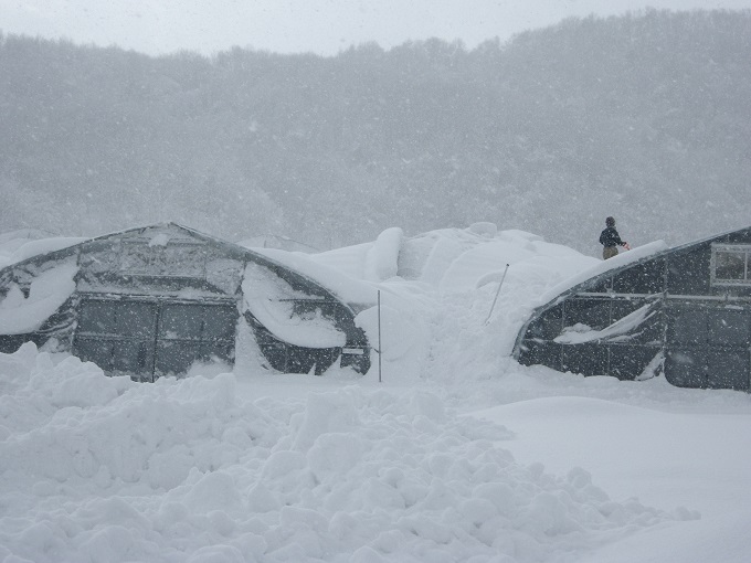 大雪被災状況