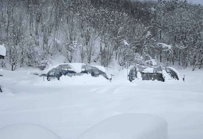 大雪被災状況