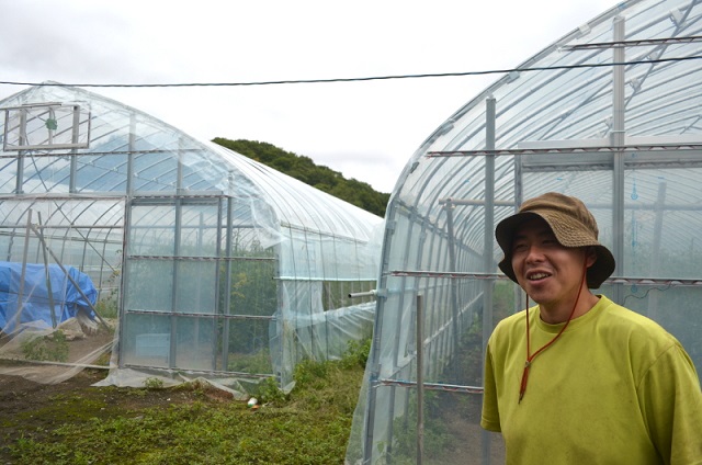 産業貢献で恩返し-ミニトマト就農者 川田さん-