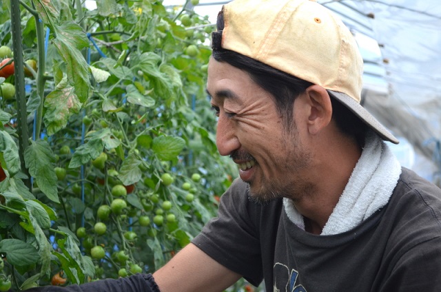 新ひだか町にようこそ-ミニトマト研修生 西口さん夫妻-