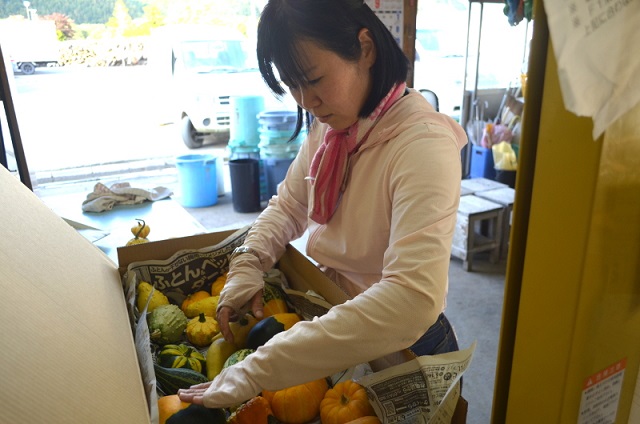 花き研修レポート…合間にかぼちゃ