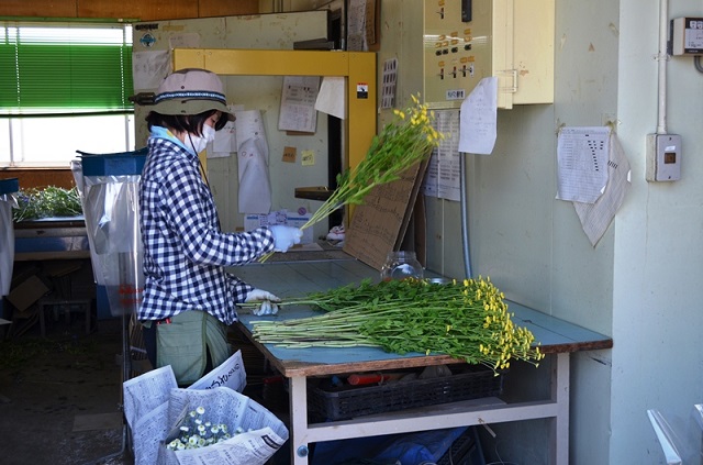 花きの研修頑張っています！