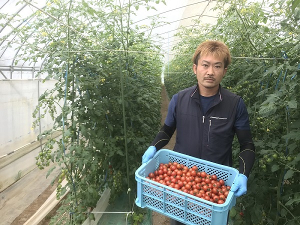 ハウス団地初出荷